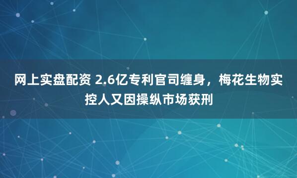 网上实盘配资 2.6亿专利官司缠身，梅花生物实控人又因操纵市场获刑