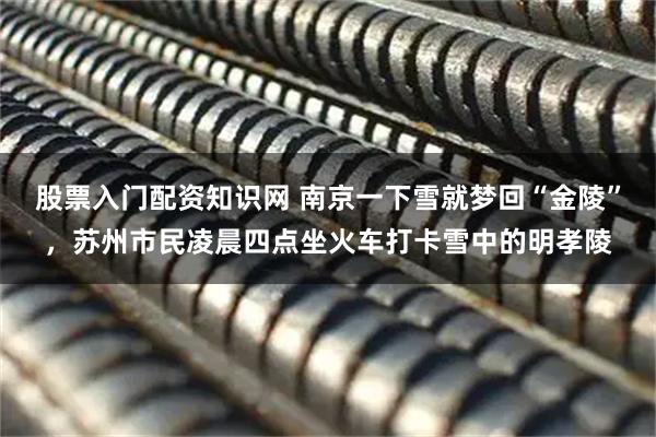 股票入门配资知识网 南京一下雪就梦回“金陵”，苏州市民凌晨四点坐火车打卡雪中的明孝陵