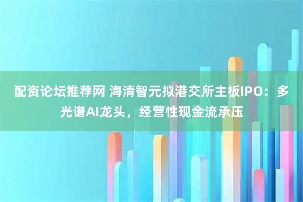 配资论坛推荐网 海清智元拟港交所主板IPO：多光谱AI龙头，经营性现金流承压